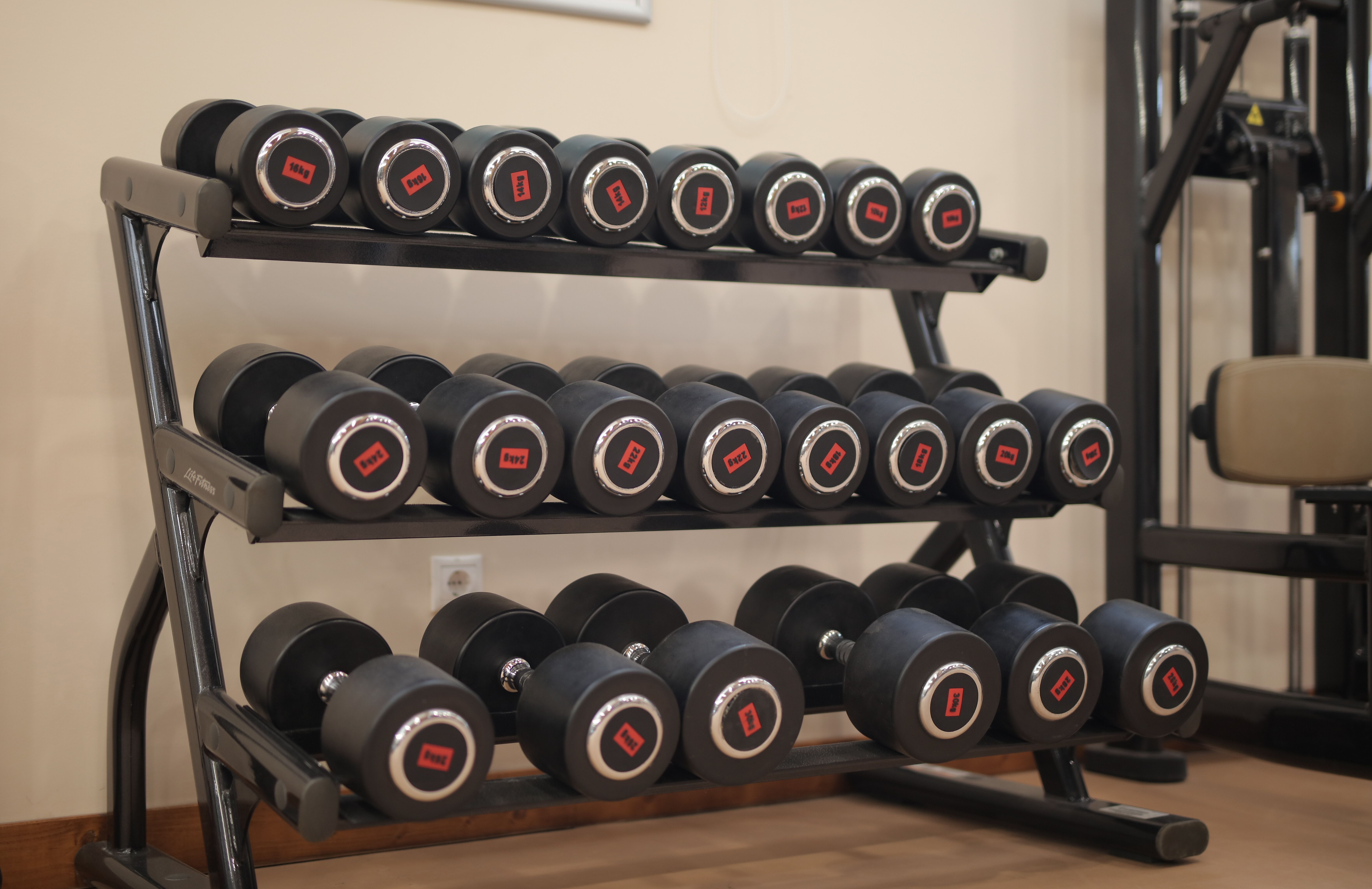 Zona de peso libre y bancos en un gimnasio porteño