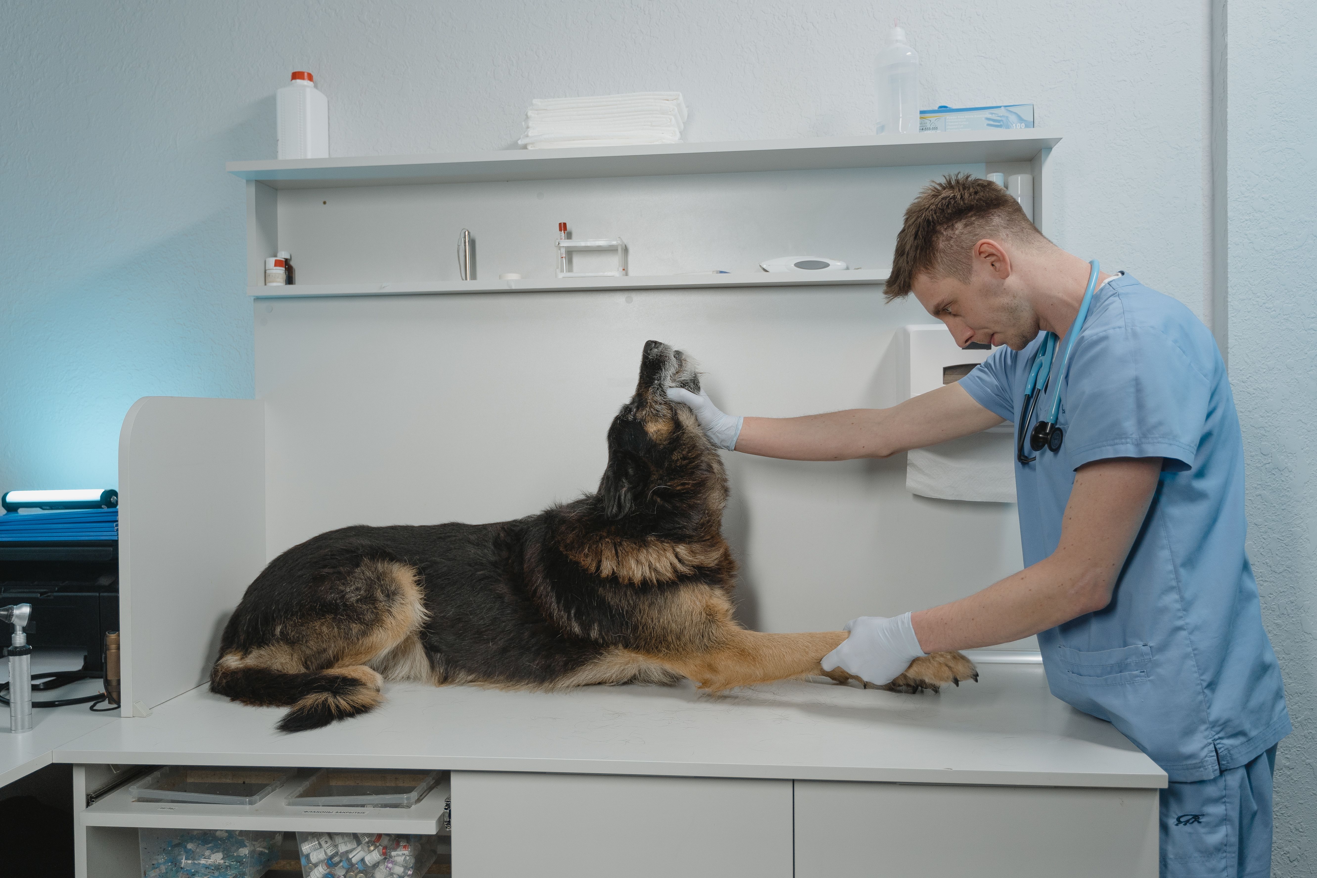 Familia con su perro esperando en la sala de una veterinaria de barrio en Buenos Aires