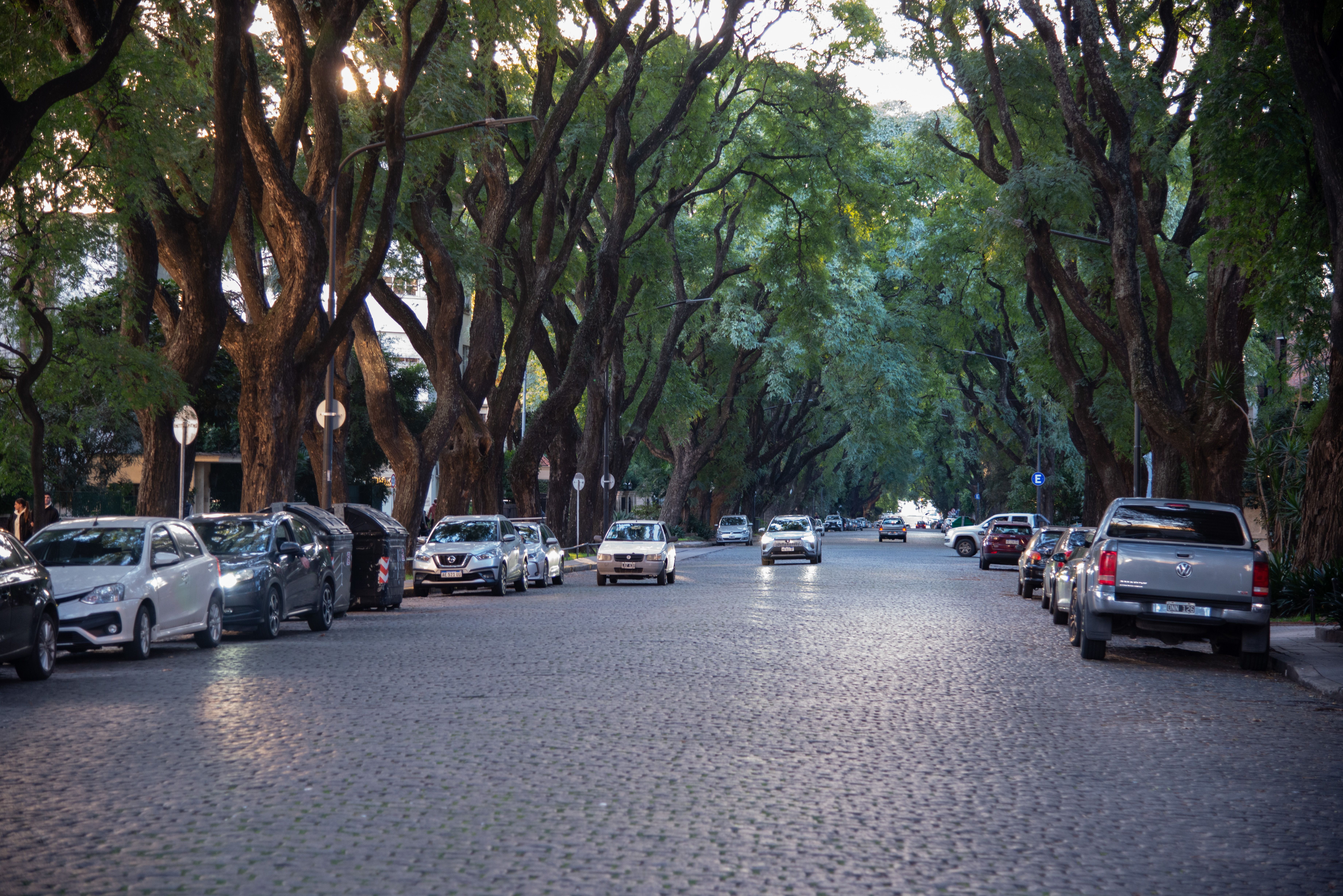 Calle residencial arbolada de Belgrano R con casas bajas, zona de fuerte demanda inmobiliaria